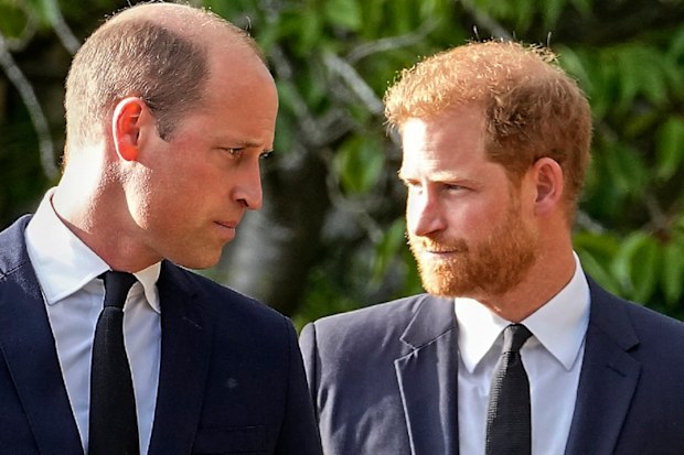 Prince William and Prince Charles