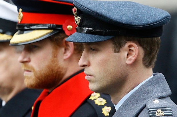 William and harry attend the Remembrance Sunday ceremony at the Cenotaph in London in 2015.