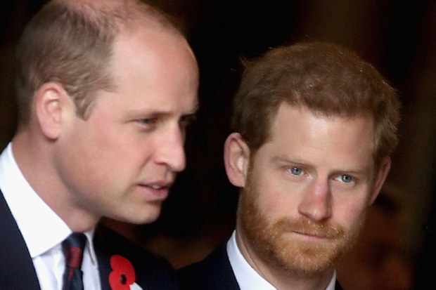 Prince William and Prince Harry