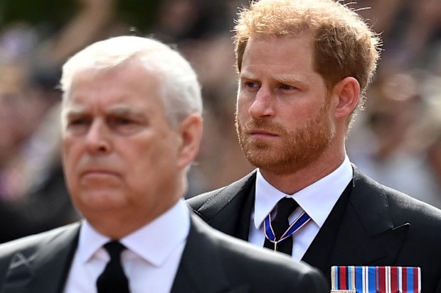 Prince Harry and Prince Andrew to miss state event ahead of Queen's funeral
