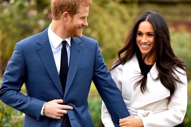 Prince Harry and Meghan Markle engagement announcement photocall in Kensington Palace gardens November 2017. Also shot used for step down announcement