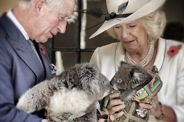 Camilla Duchess of Cornwall makes generous cash donation to Australian bushfires victims