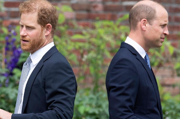 Duke of Sussex and Duke of Cambridge