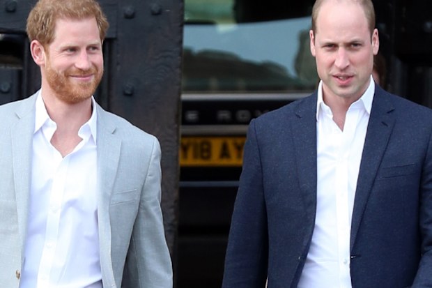 William and Harry Diana statue unveiling