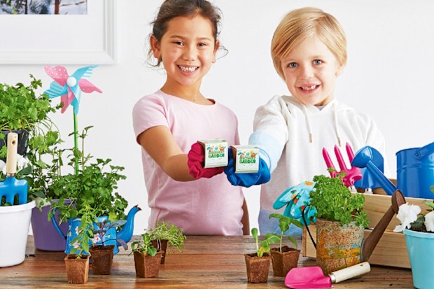 Woolworths new collectables range.
