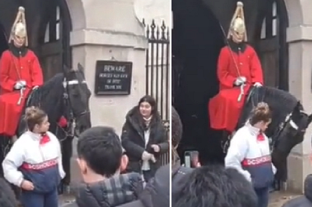 King's Guard yells at tourist during photo op
