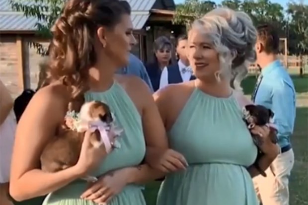Bridesmaids ditch the flowers to carry puppies down the aisle