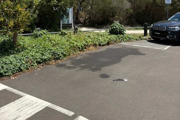 A Sydney local thought this was a parking spot but copped a fine when he left his car here.