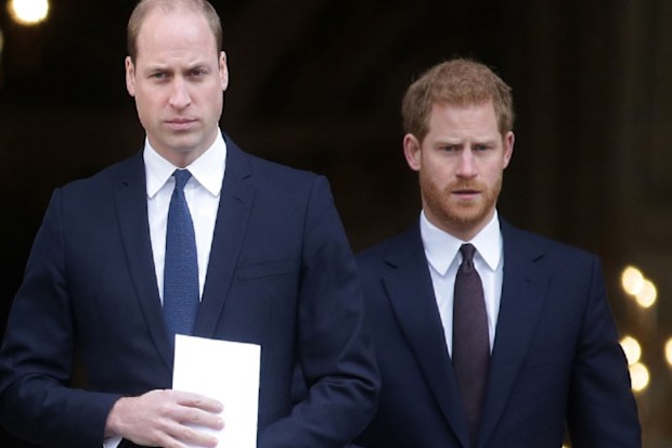 william and harry king charles coronation