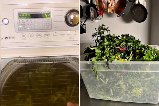 TikToker washes her leafy greens in the washing machine