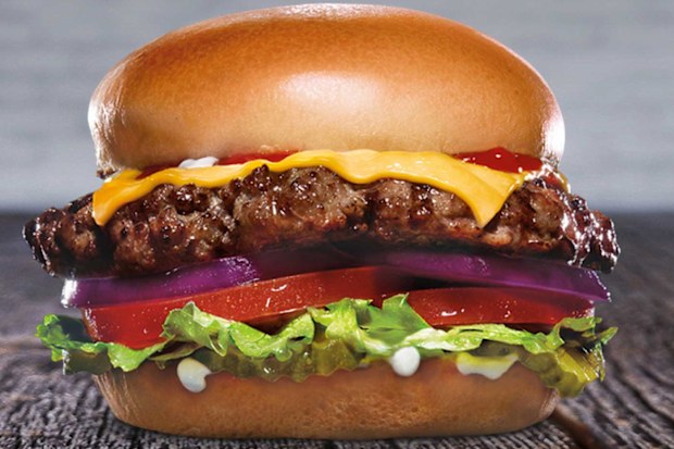 Carl's Jr. burger bun