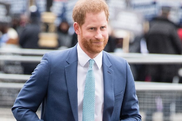 Prince Harry ultimately won the libel action following court case.