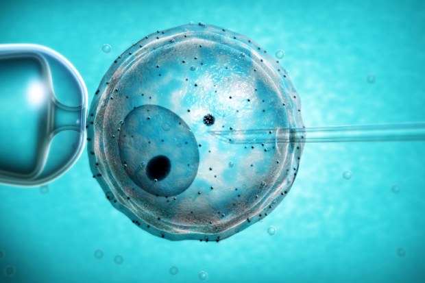 Blue IVF