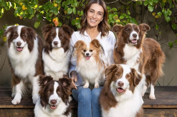 tips for high energy dog