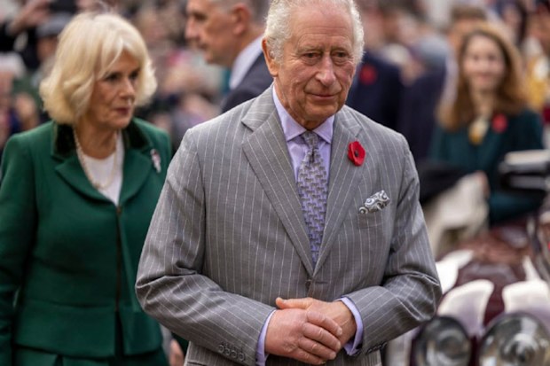 King Charles and Camilla, the Queen Consort