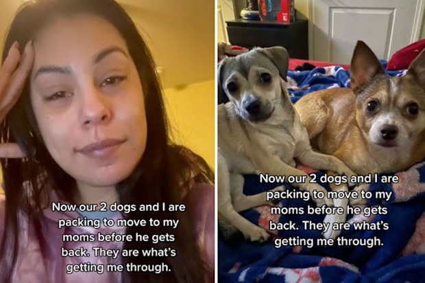 Man's shocking response to cheating revealed