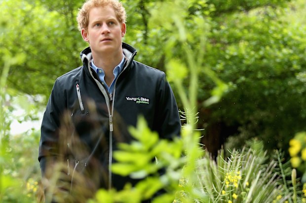Prince Harry, 2015