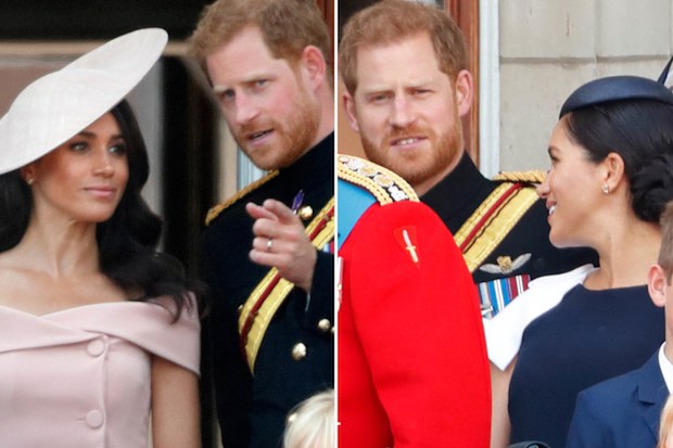 Prince Harry and Meghan at Trooping the Colour 2018 and 2019
