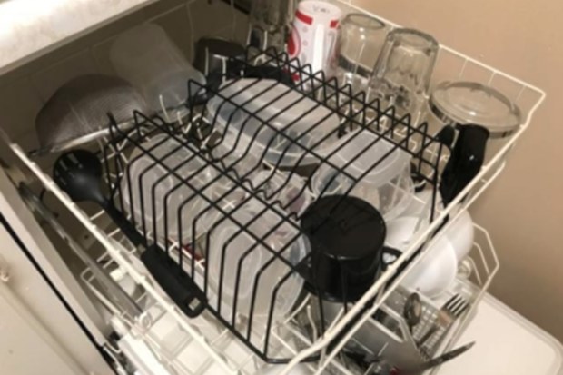 Genius dishwasher hack will stop things moving around
