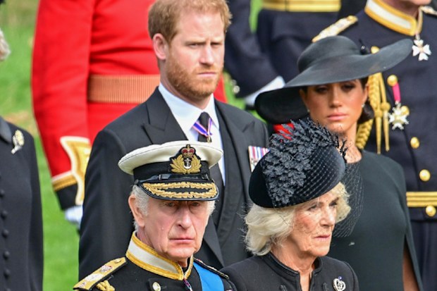 harry and meghan king charles birthday