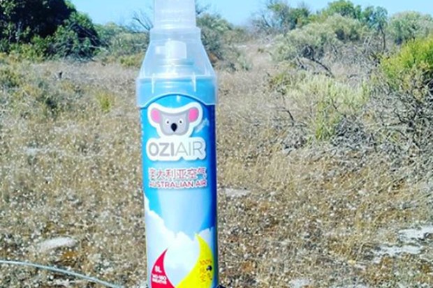 Ozi Air
