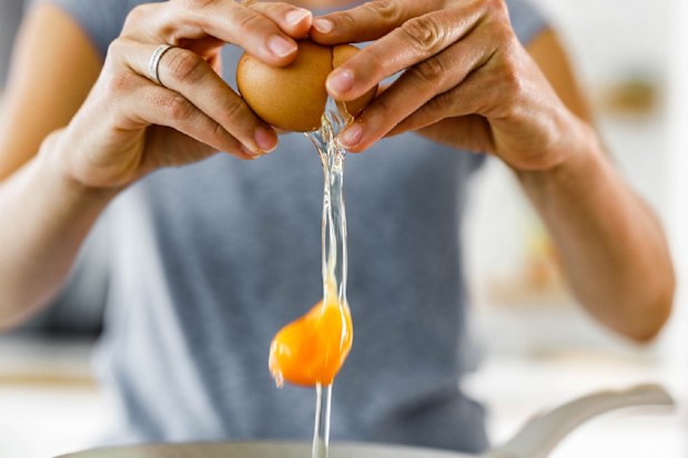 Woman cracking an egg into a bowl photo