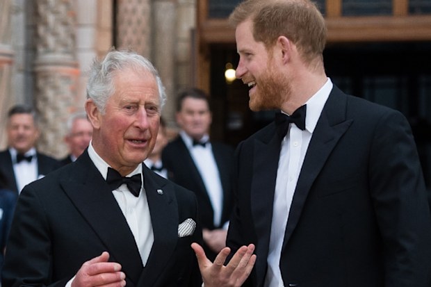 Prince Harry and Prince Charles.