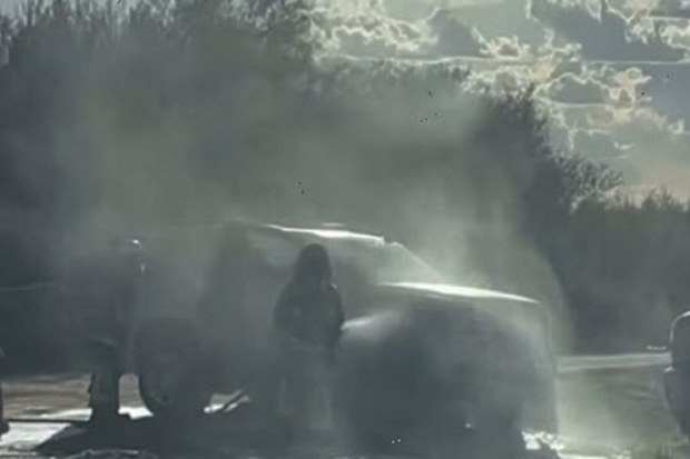 fire crew rescues family from bee attack