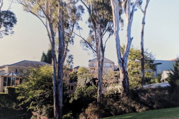 Garden in The Hills, Sydney