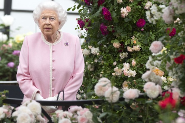 Chelsea Flower Show 2018