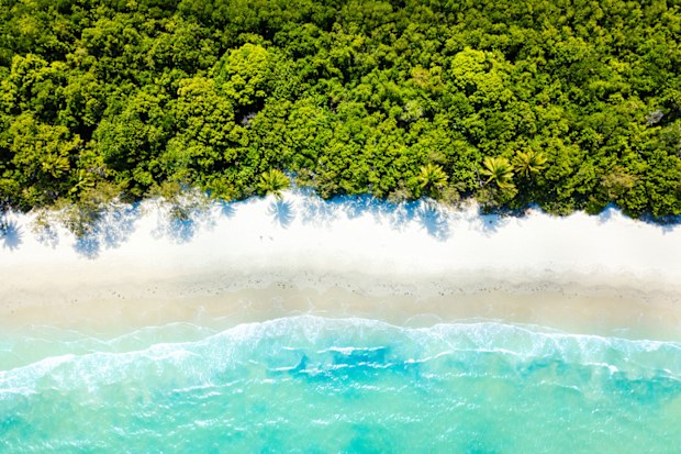 An aerial view of Cape Tribulation