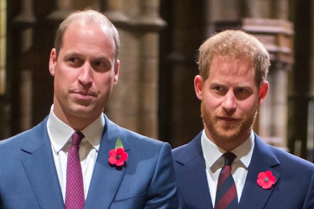 Princes William and Harry at a ceremony in 2018.