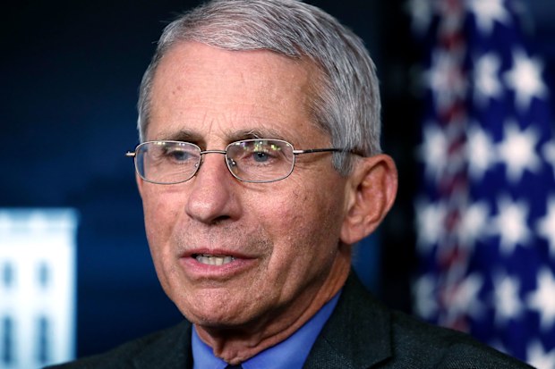 World's leading coronavirus expert makes shocking claim about causal sex: 'Relative risk'