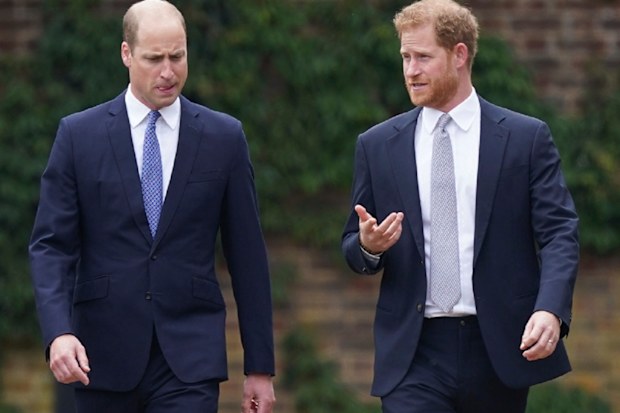 Prince William and Prince Harry statue unveiling
