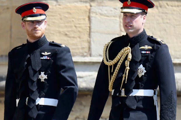 William and harry walking
