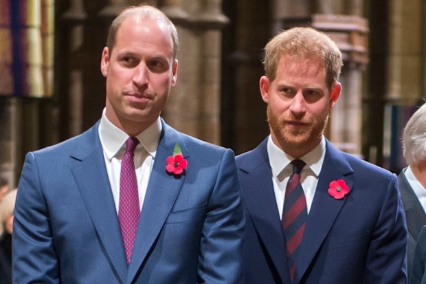 Tension between Harry and William at the middle of the royal rift