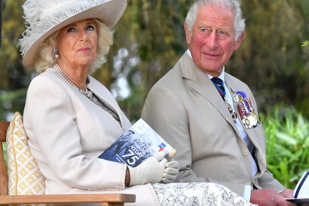 Camilla, Duchess of Cornwall and Prince Charles, 2020