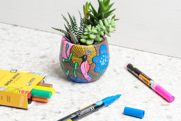 A succulent delivery service exists for people who can't keep plant alive