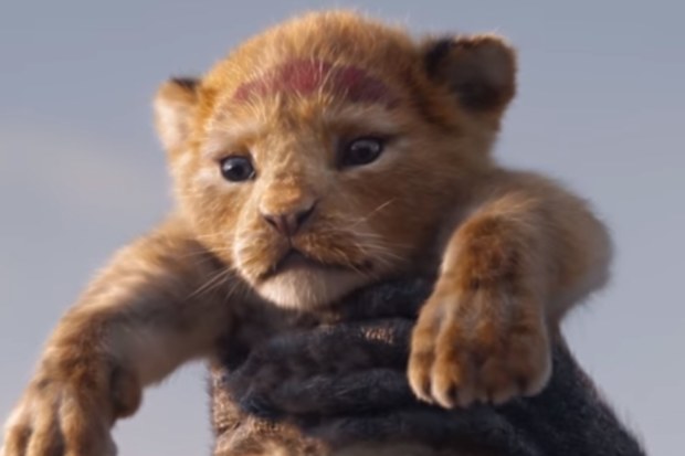 Simba in The Lion King