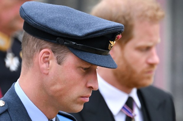 william and harry attacks on kate