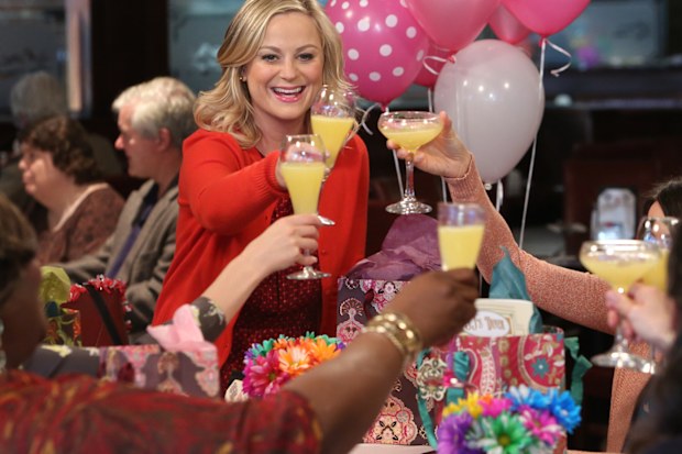 Galentine's Day episode of Parks and Recreation