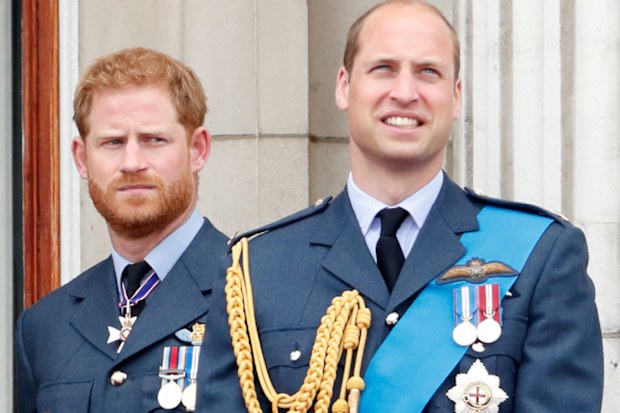 Harry and William reunite