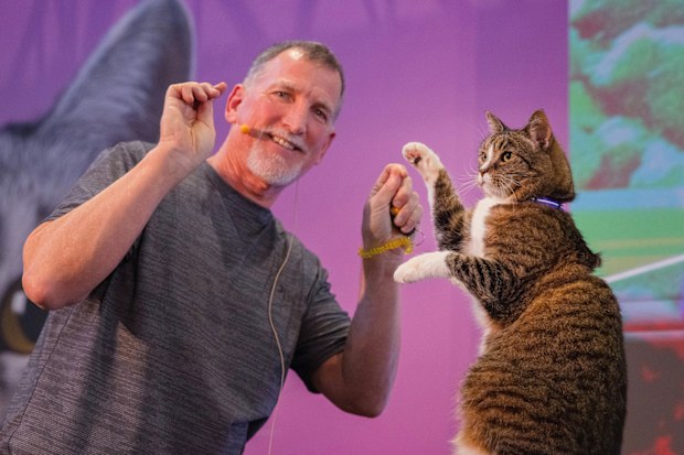 Robert Dollowet and Didga at the Cat Lover's Festival.