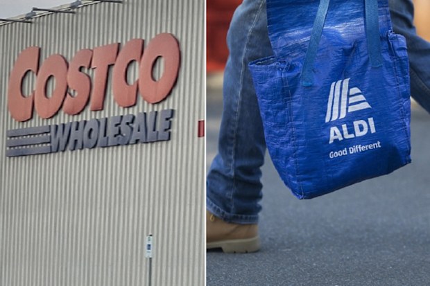 costco vs aldi grocery price comparison honey money
