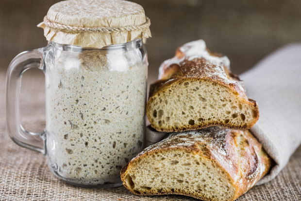 Sourdough starter mixture in a jar