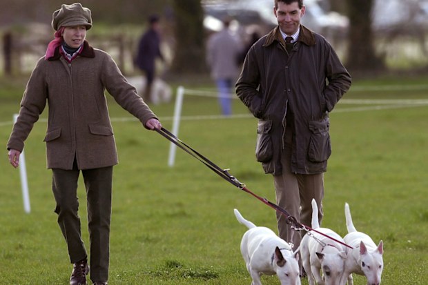 Princess Anne and her bull terriers.