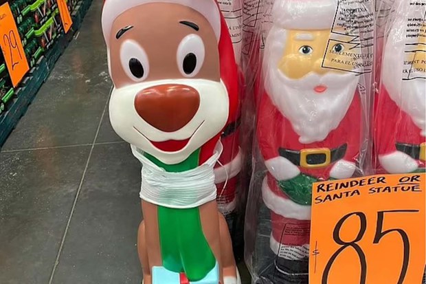 Reindeer and Santa ornaments from Bunnings
