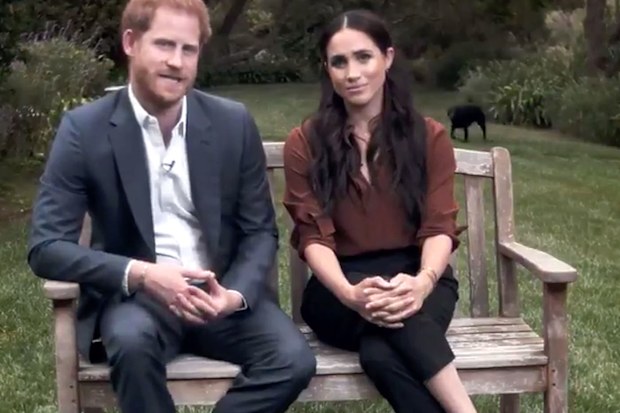 Meghan, Harry and their dog Pula.
