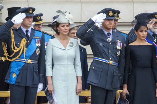 british royals harry and meghan and william and kate