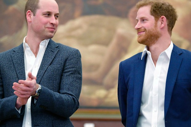 Prince William Prince Harry